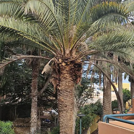 Corralejo Sun Apartman